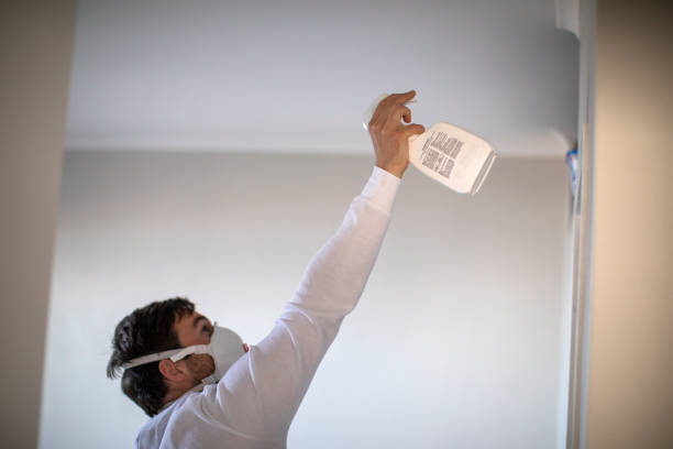 Home Mold Removal in Gilbert, AZ